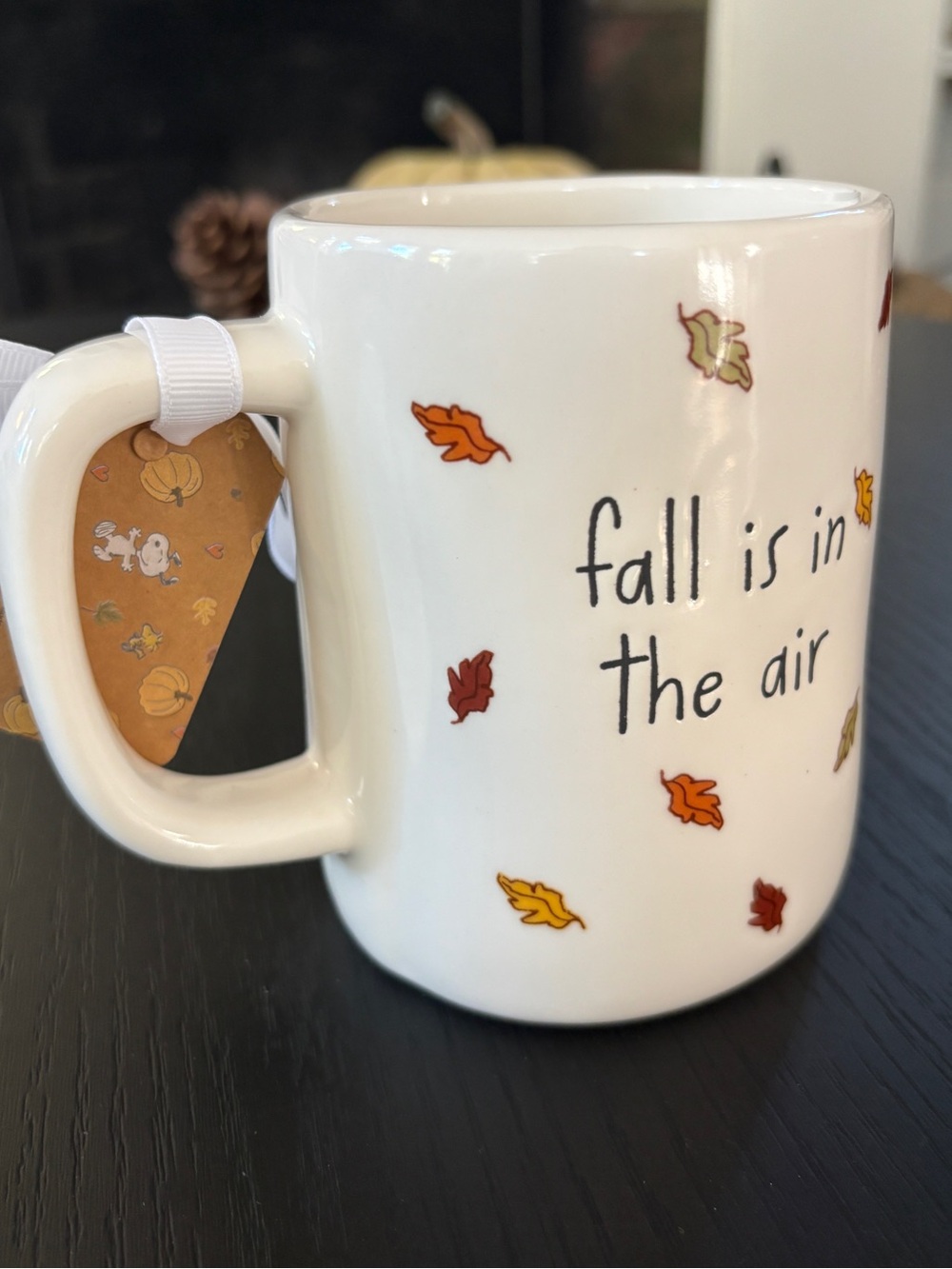 Peanuts x Rae Dunn Snoopy Plaid Autumn Mug Fall is in the Air - Picture 10 of 12